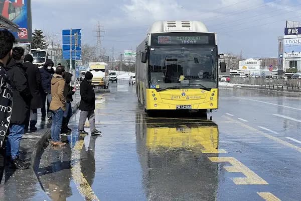 Atatürk Mahallesi - Otobüs Durağı - İstanbul Adalar