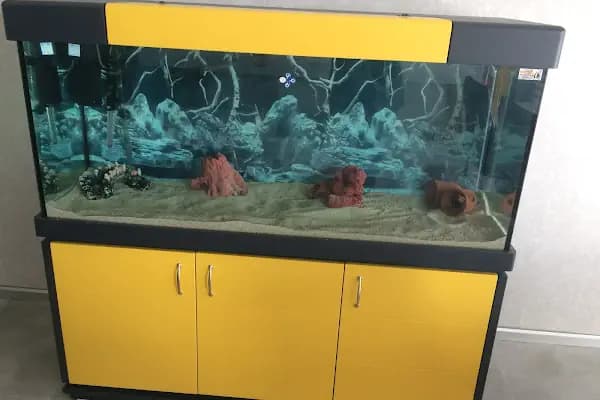 Nesil Akvaryum Petshop - Evcil hayvan mağazası - Konya Karatay