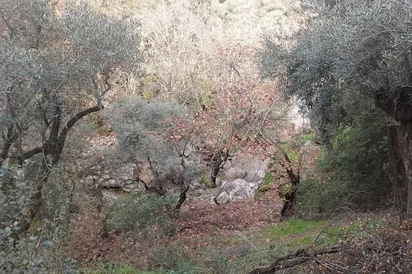 Sarıdere yürüyüş yolu - Yürüyüş Alanı - Aydın Koçarlı