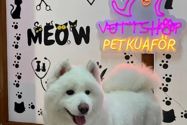 VettShop - Evcil Hayvan Malzemeleri Mağazası - Balıkesir Karesi