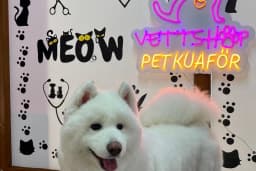 VettShop