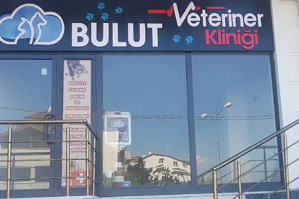 BULUT Veteriner Kliniği - Veteriner - Kocaeli Çayırova