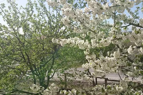 Çocuk Parkı - Park - Ankara Ayaş