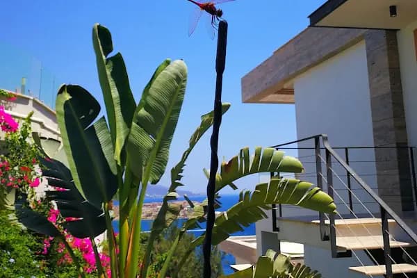 FRAME SUITES - Mimarlık Firması - Muğla Bodrum