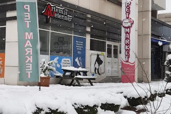 Flamingo Evcil - Evcil hayvan mağazası - Bursa Harmancık