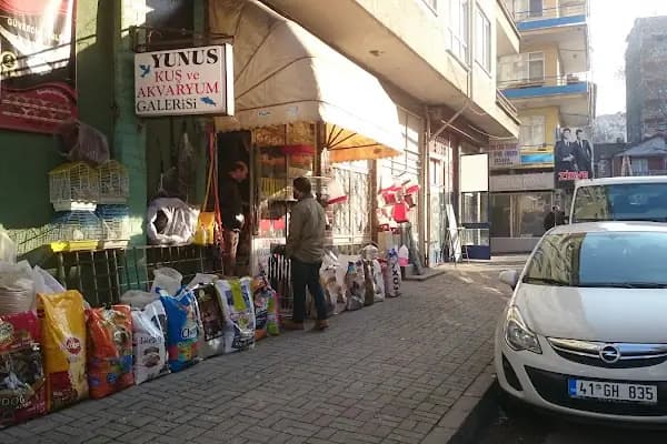 Yunus Kuş ve Akvaryum Galerisi - Kuşçu - Kocaeli Gölcük