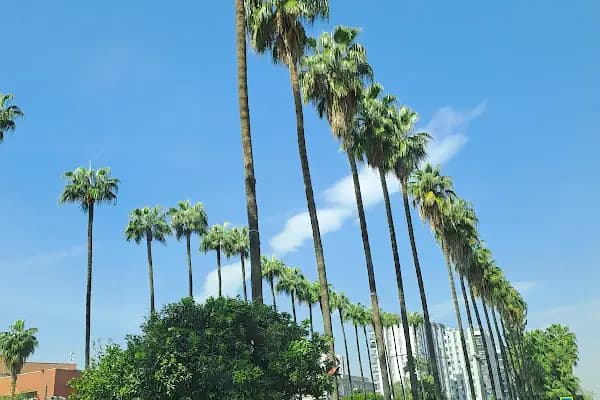 Adana Valiliği - Devlet Dairesi - Adana Aladağ