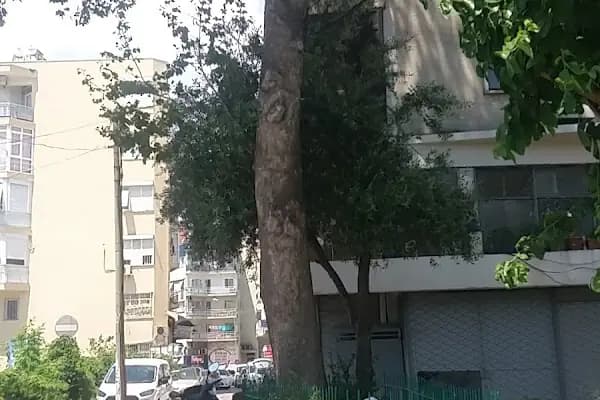 Aşık Doğan Dede Türbesi - Tarihi Yer - Antalya Muratpaşa