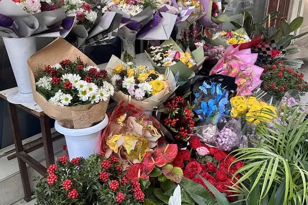 Erdemli barış çiçekçilik ve fotoğrafçılık - Çiçekçi - Mersin Yenişehir