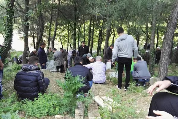 Hamıneli Çocuk Parkı - Park - Sakarya Adapazarı