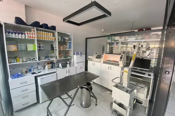 Ayvaz Veteriner Klinigi - Veteriner - Sakarya Adapazarı