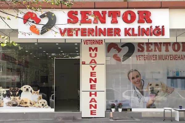 Sentor Veteriner Kliniği - Veteriner - İstanbul Küçükçekmece