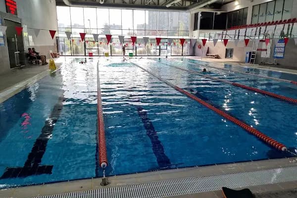 Erdal İnönü Kapalı Yüzme Havuzu - Kapalı yüzme havuzu - Ankara Altındağ