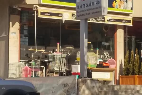 Hobby Akvaryum - Evcil hayvan mağazası - Ankara Yenimahalle