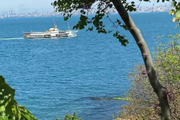 Büyükada Deniz Kulübü - Yat Kulübü - İstanbul Şile