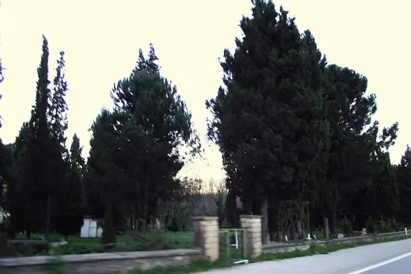 Kurtköy Mezarlığı - Mezarlık - Sakarya Sapanca