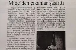 Prof. Dr. Ali Demir