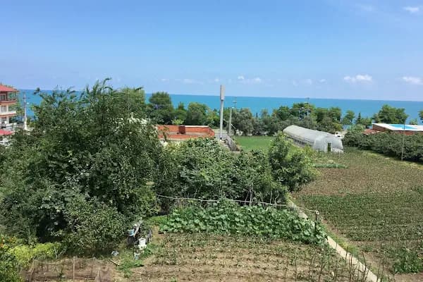Petrol Ofisi - Benzin İstasyonu - Trabzon Akçaabat