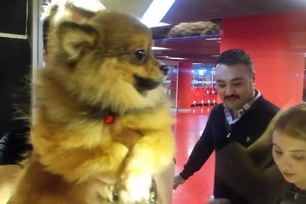 Happy pets petshop - Evcil hayvan mağazası - İstanbul Beşiktaş