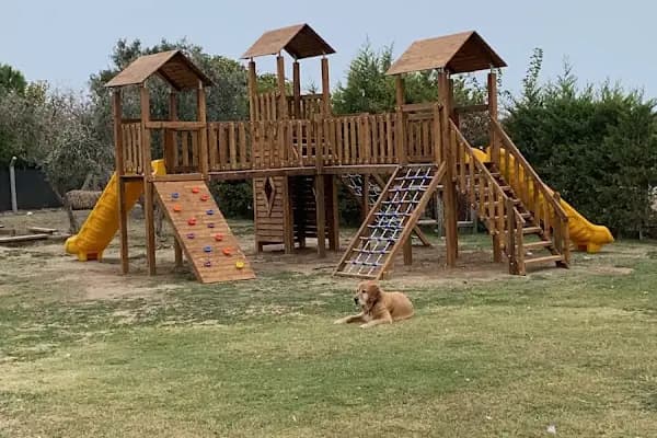 İnciralti Montessori Anaokulu - Anaokulu - İzmir Aliağa