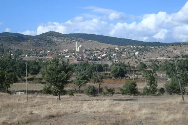 Küçükşapçı Köyü Mezarlığı - Mezarlık - Balıkesir Karesi