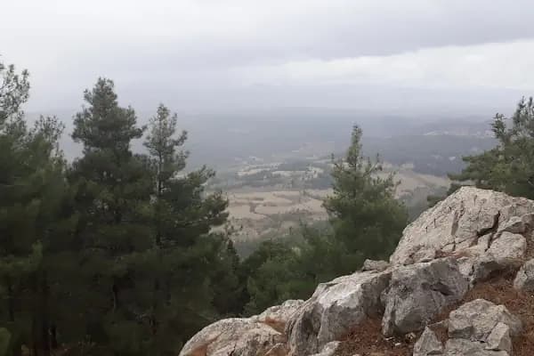 Etekli Köyü Tereli Yaylası Çamlık Seyir Tepesi - İlgi Çekici Yer - Adana Çukurova