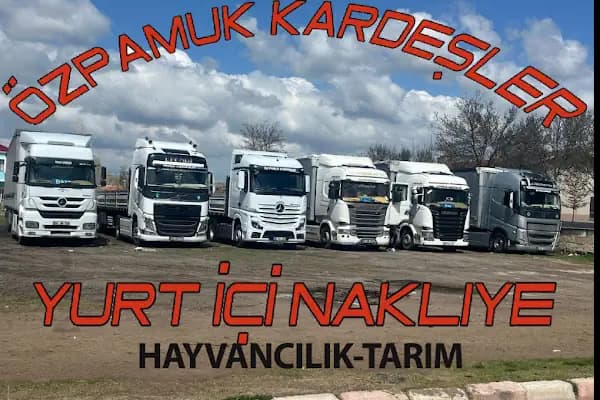 ÖZ PAMUK KARDEŞLER NAKLİYAT TARIM VE HAYVANCILIK - Nakliyeci - İstanbul Kadıköy