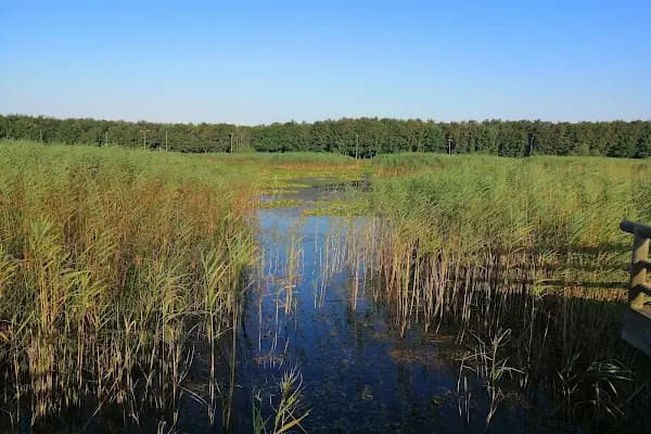 Danamandıra Tabiat Parkı - Milli Park - İstanbul Arnavutköy