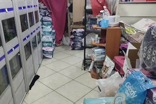 Melek Akvaryum - Akvaryum - İstanbul Bağcılar