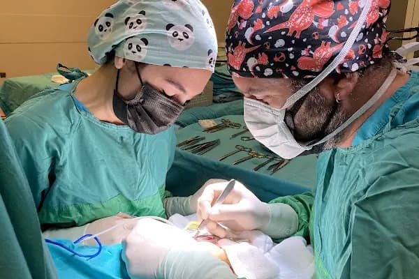 Dr. Öğr. Üyesi Türker Karancı, Beyin Ve Sinir Cerrahisi - Beyin ve Sinir Cerrahı - İstanbul Bakırköy
