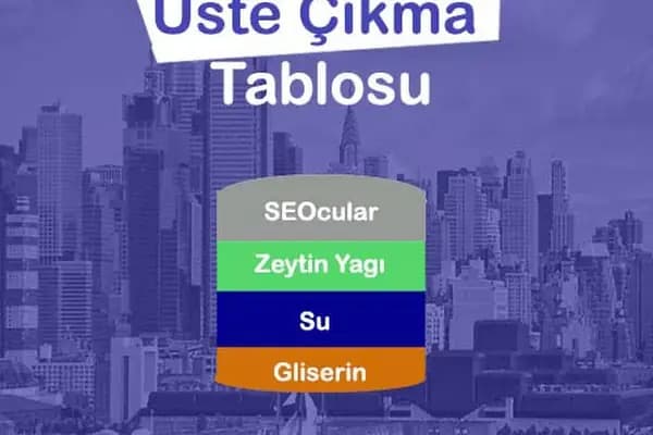 Seocu Kız - Web Sitesi Tasarımcısı - İstanbul Avcılar