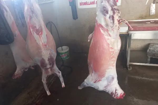 KARAKIŞ ADAKLIK - Et Toptancısı - Diyarbakır Kayapınar