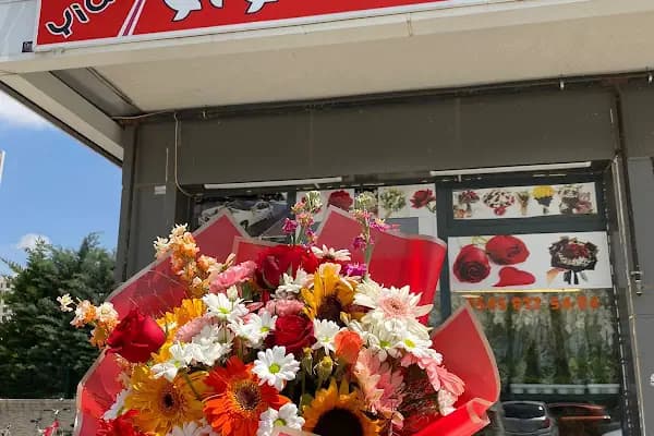 Yiğit Çiçekçilik (Flowers) - Çiçekçi - Konya Çumra