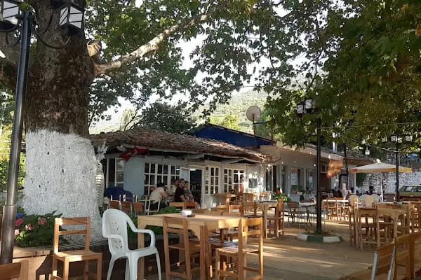 ÇINARALTI KAHVESİ - Kahve dükkanı - İzmir Beydağ
