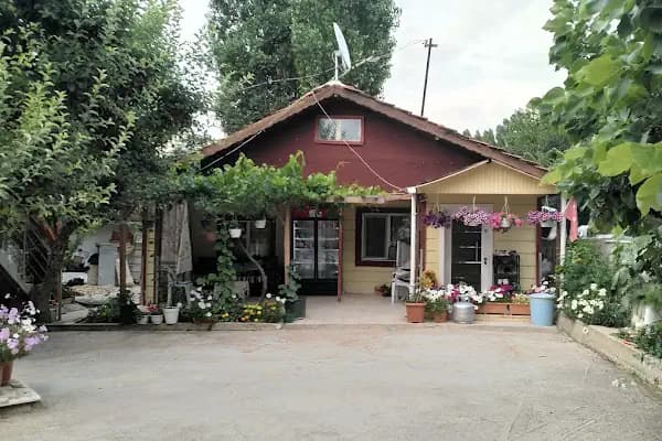 Bahçeden doğaya köy kahvaltısı - Kahvaltı restoranı - Ankara Akyurt