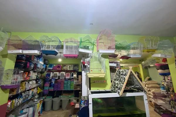 YENİDOĞAN PETSHOP - Kuşçu - Bursa Gürsu