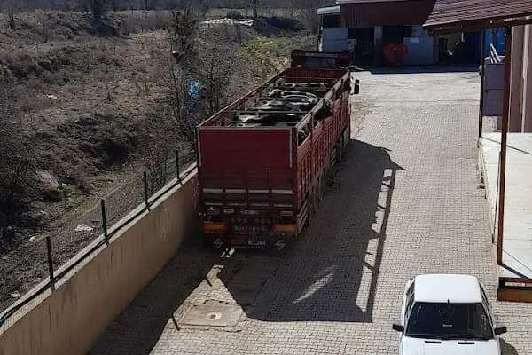 Kayioglu nakliyat insaat bims pancar kuspesi slaj saman - Nakliye Hizmeti - Denizli Acıpayam