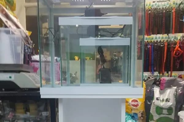 BALIKÇI SUAT PETSHOP AKVARYUM - Evcil hayvan mağazası - Balıkesir Altıeylül