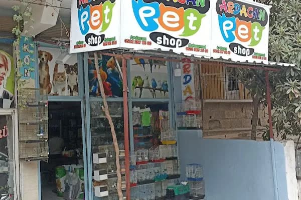 Ardacan Petshop - Evcil hayvan mağazası - Gaziantep Şahinbey