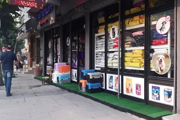 Momentum Pet Shop - Evcil Hayvan Malzemeleri Mağazası - İstanbul Bağcılar