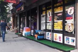 Momentum Pet Shop