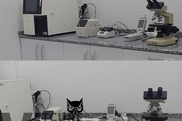 Vetcur Aliağa veteriner polikliniği - Veteriner - İzmir Bornova