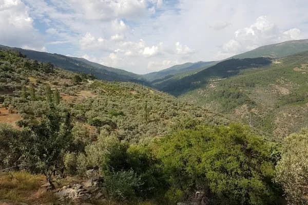 Bayındır - Administrative Area2 - İzmir Karşıyaka