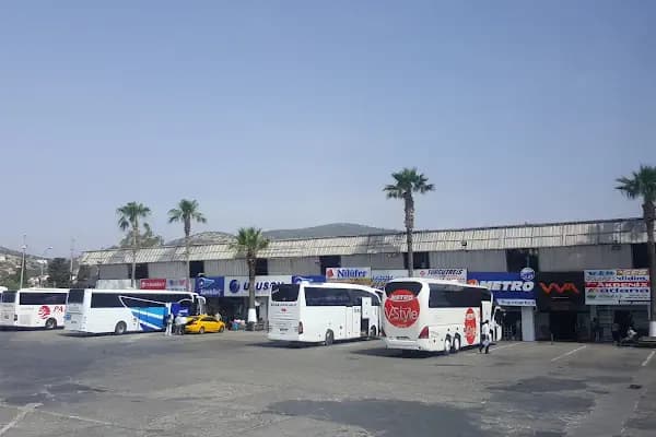 Bodrum Otobüs Terminali - Otobüs Terminali - Muğla Bodrum