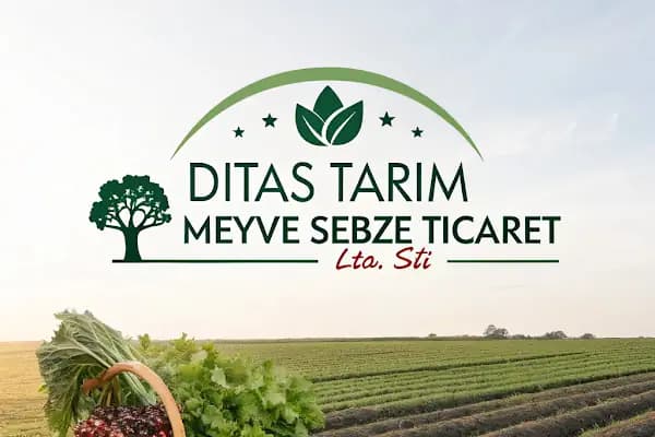 DİTAŞ MEYVE SEBZE KOMİSYON TİCARET - Yaş Meyve Sebze Toptancısı - Antalya Elmalı