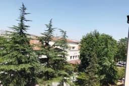 Ankara Üniversitesi Ziraat Fakültesi Zootekni Hayvan Yetiştirme Ana Bilim Dalı