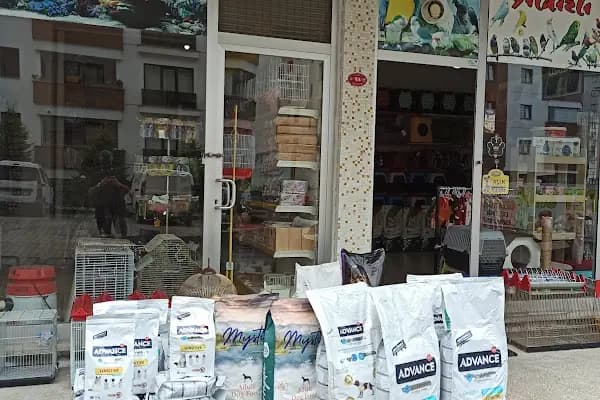 Trabzon yıldızlı petshop - Evcil hayvan mağazası - Trabzon Ortahisar