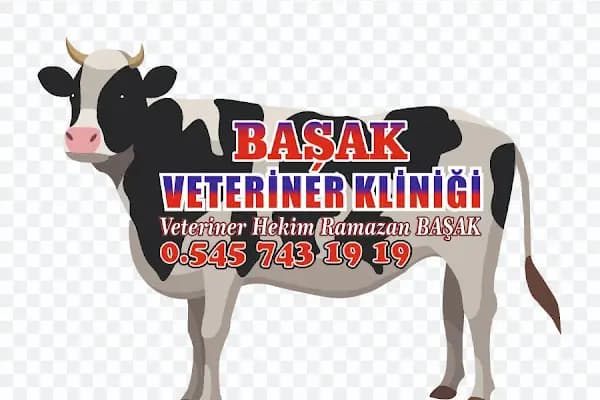 BAŞAK VETERİNER KLİNİĞİ NUSAYBİN - Veteriner - Mardin Yeşilli