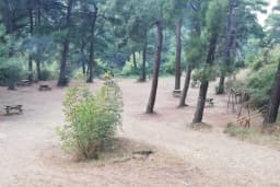 Çamlık Piknik Alanı