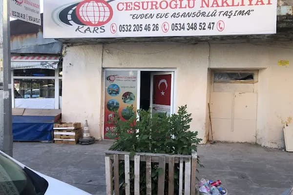cesuroğlu evden eve nakliyat - Nakliyat Şirketi - Kars Kars Merkez